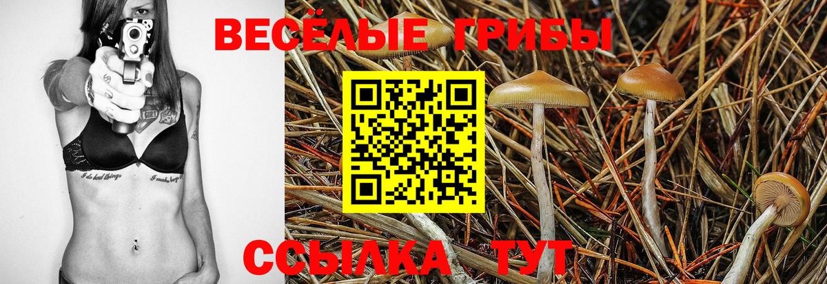 Спасск-Дальний  Галлюциногенные грибы ЛСД  Вход с VPN  Псилоцибиновые грибы прущие грибы 