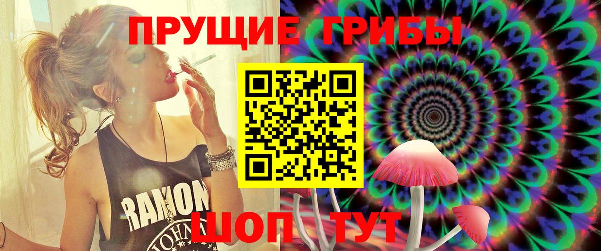 Псилоцибиновые грибы мицелий Спасск-Дальний